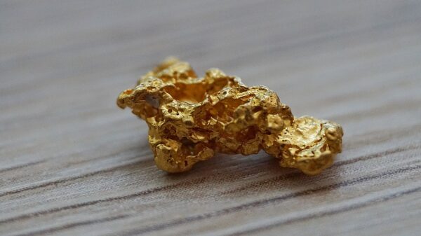 Goldnugget