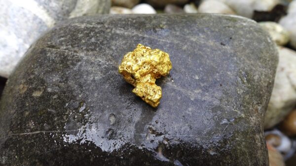 Goldnugget – Bild 2